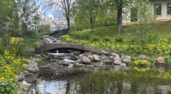 Naturbaserte løsninger som beskytter hus og gater mot oversvømmelse, skaper samtidig trivsel i nærmiljøet. Verktøyet Verbena gjør det enkelt å sammenlikne ulike tiltak. Hovinbekken i Oslo. Foto: Ida Rambæk/SINTEF