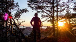 Bilde av turgåer som ses mellom furtrær som en silhouett mot en lav sol
