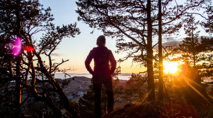 Bilde av turgåer som ses mellom furtrær som en silhouett mot en lav sol