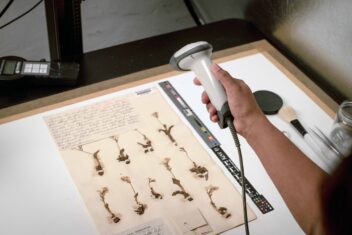 Scanning av planter i et herbarium.