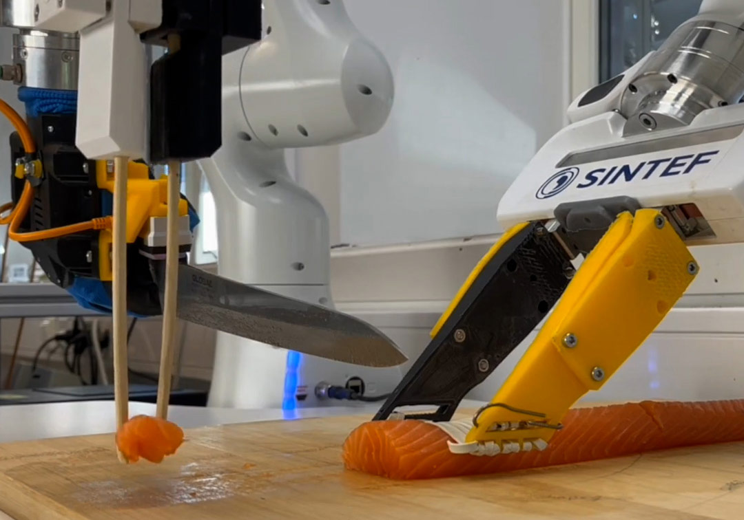 Spisepinner på robotarm som plukker opp en laksebit.