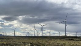 Beliggenhet, beliggenhet, beliggenhet betyr mye for mangfoldet
