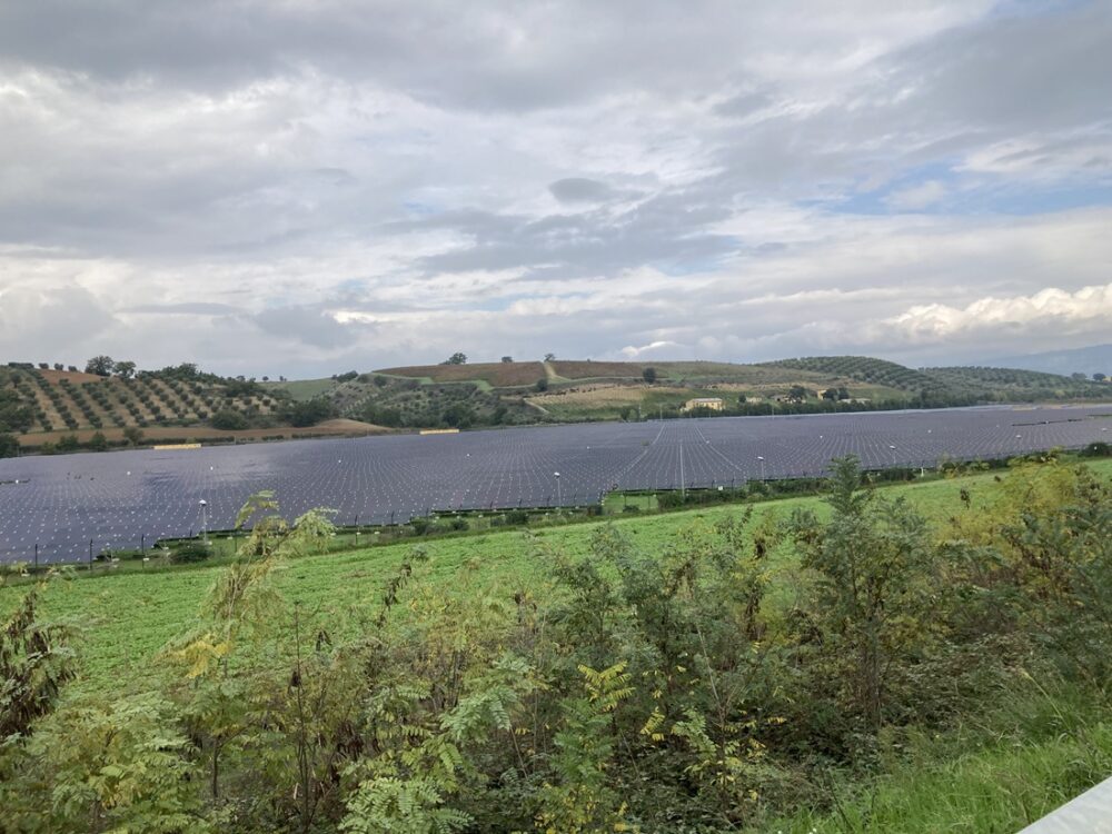 Solcellepark i grønne omgivelser.