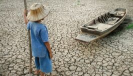 Følelser betyr ikke så mye for klimavennlig atferd