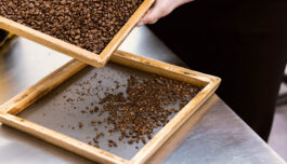 Kan norsk kaffebrenning elektrifiseres? Ja, mener forskere